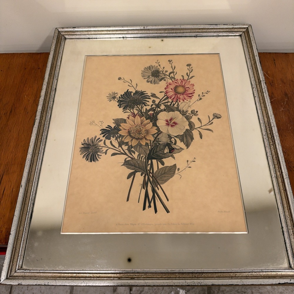 Pair of VINTAGE JEAN LOUIS PREVOST Hand Colored French Botanical Prints Framed